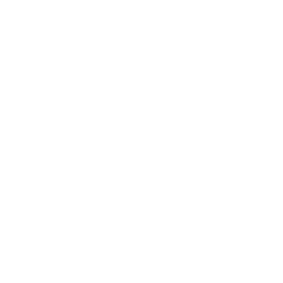 Play Button